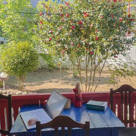 Cottage Коттеджи С Балконом Kobuleti Extérieur photo